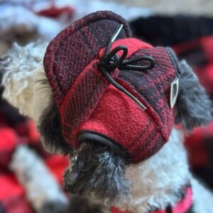Stormy Kromer Red Plaid dog hat and matching knit boots with rubber grips.